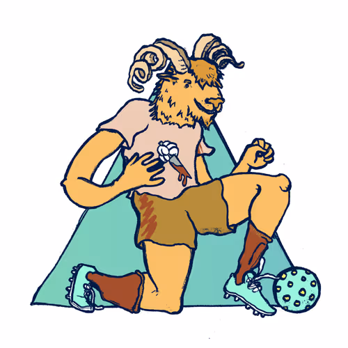 Footballcritter
