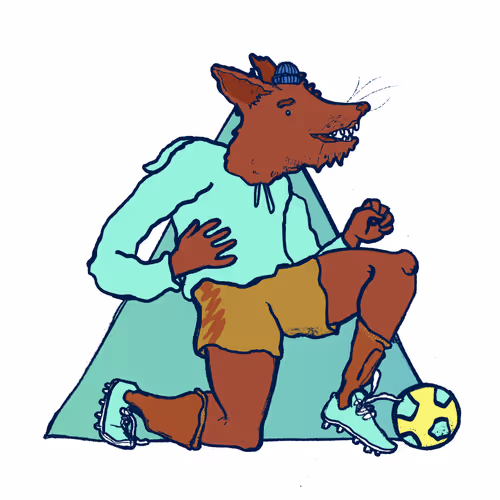 Footballcritter