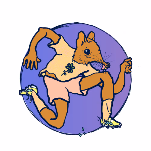 Footballcritter