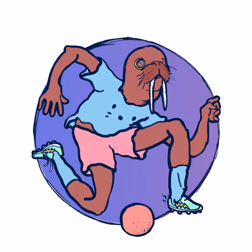 Footballcritter