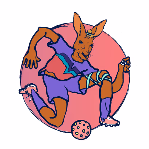 Footballcritter