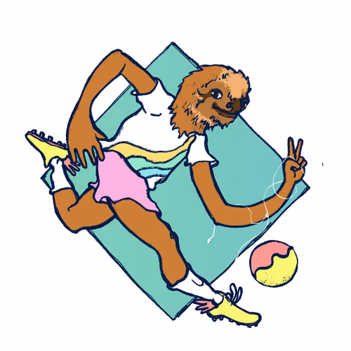 Footballcritter