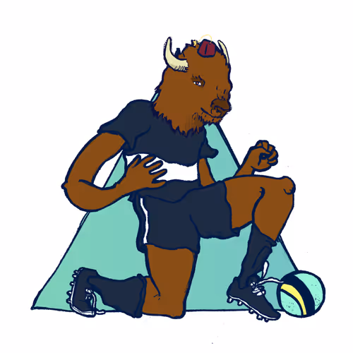 Footballcritter