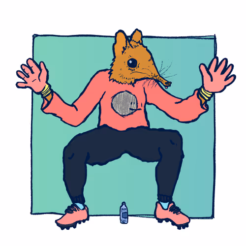 Footballcritter