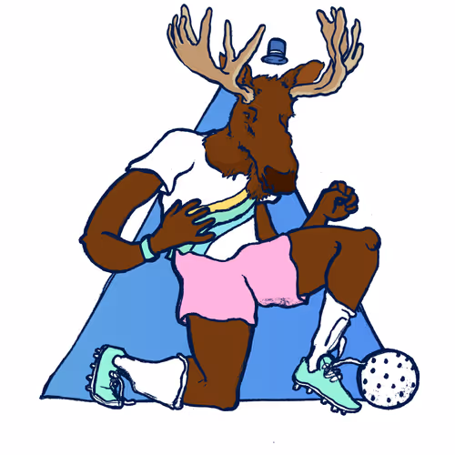 Footballcritter