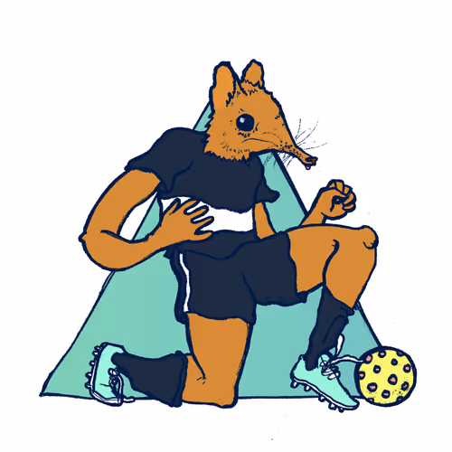 Footballcritter
