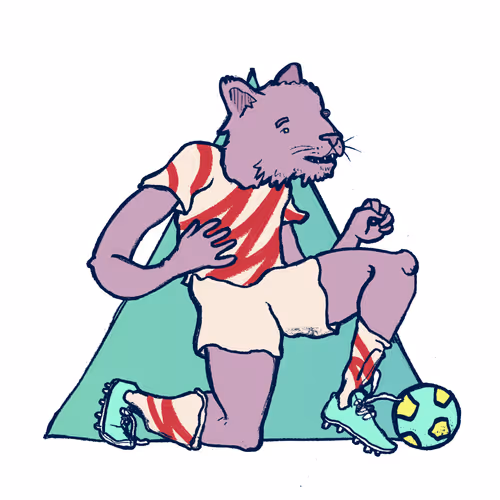 Footballcritter