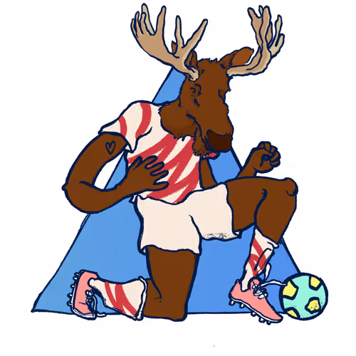 Footballcritter