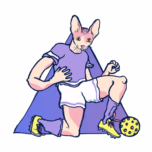 Footballcritter