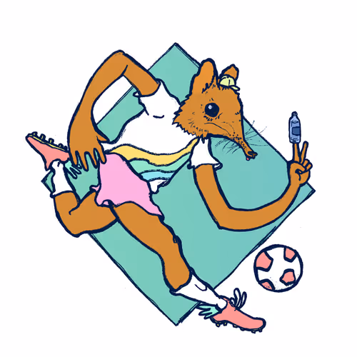 Footballcritter