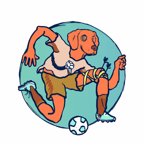 Footballcritter