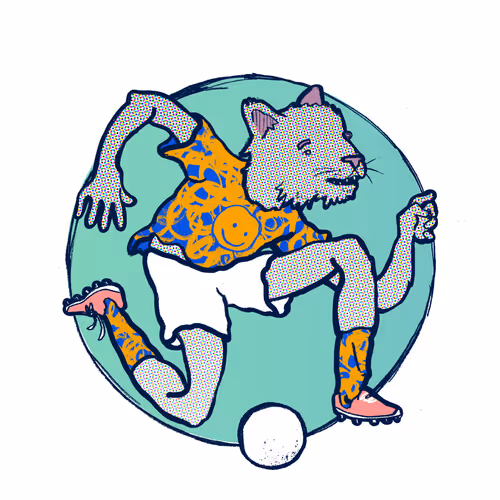Footballcritter