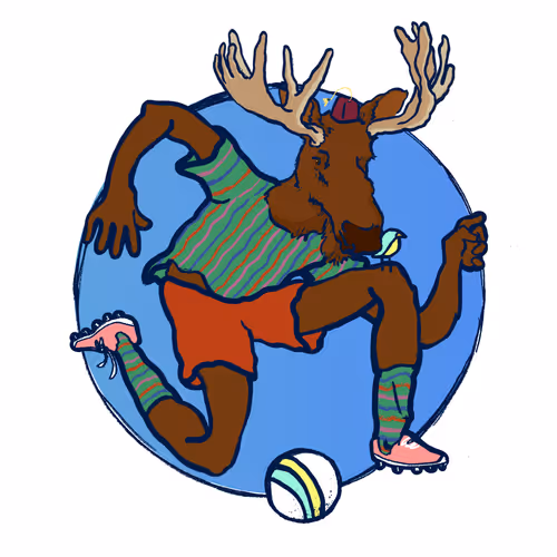 Footballcritter