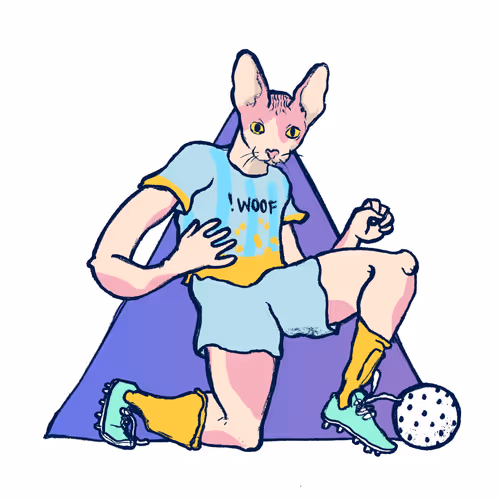 Footballcritter