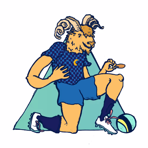 Footballcritter