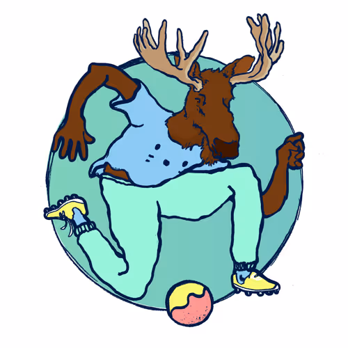 Footballcritter