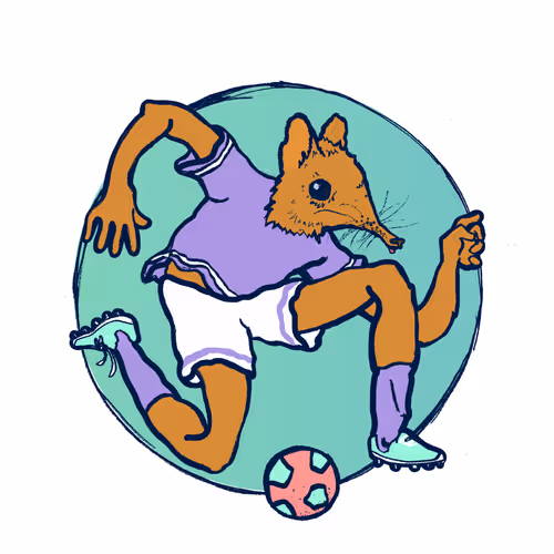 Footballcritter