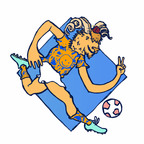 Footballcritter