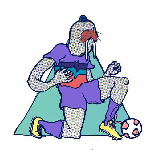 Footballcritter