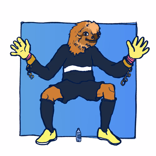 Footballcritter