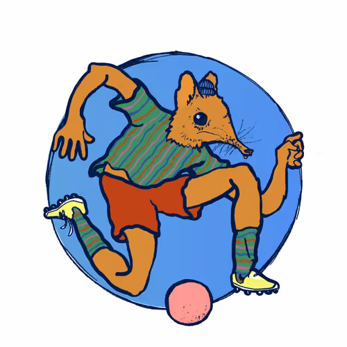 Footballcritter