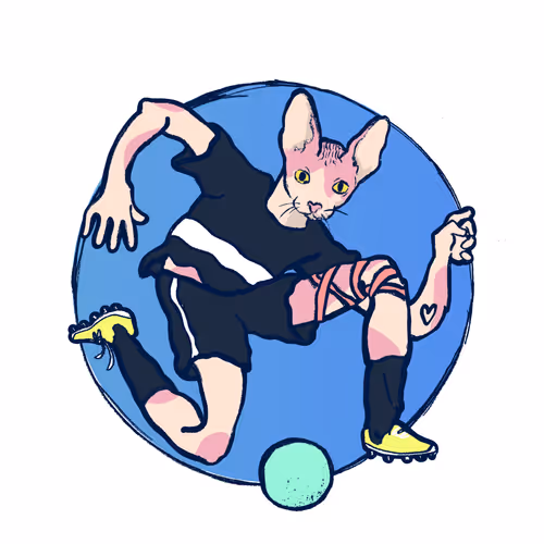 Footballcritter