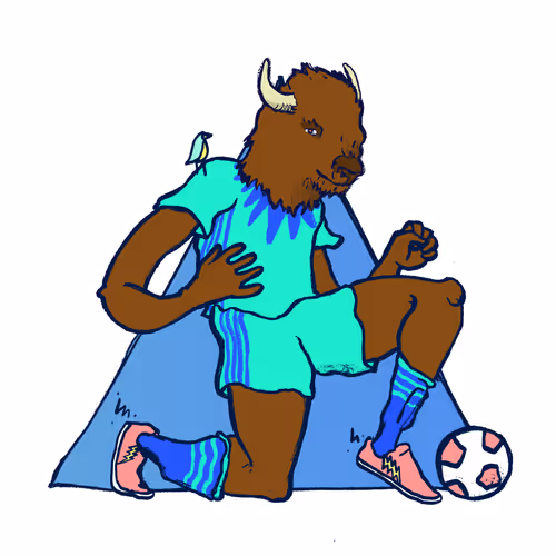 Footballcritter