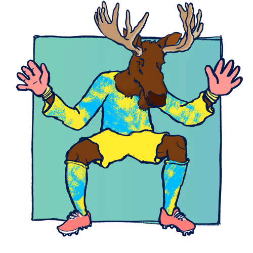 Footballcritter
