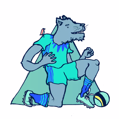 Footballcritter