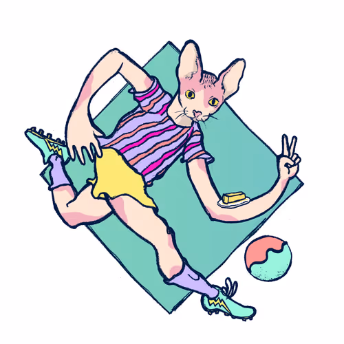 Footballcritter