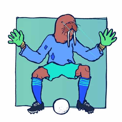 Footballcritter