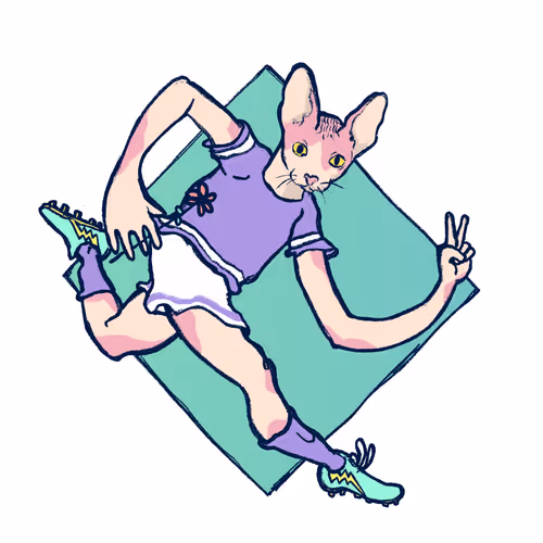 Footballcritter