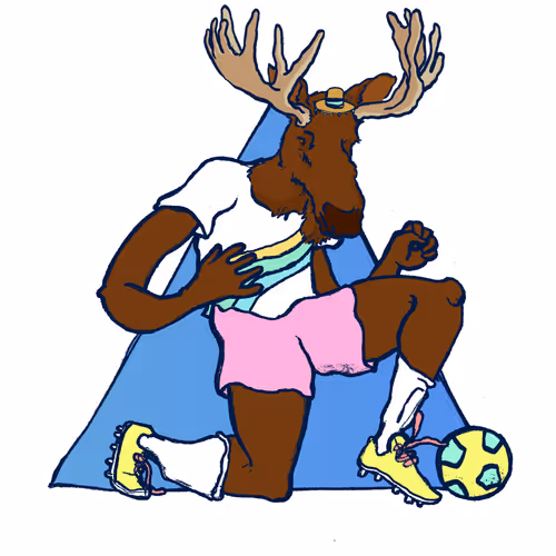 Footballcritter