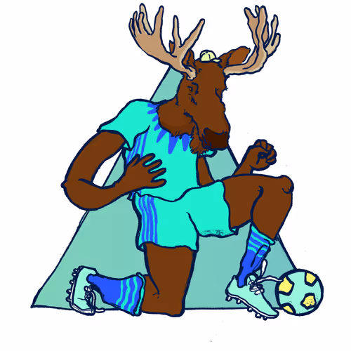 Footballcritter
