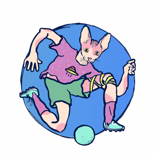 Footballcritter