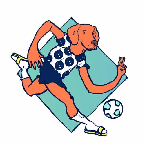 Footballcritter