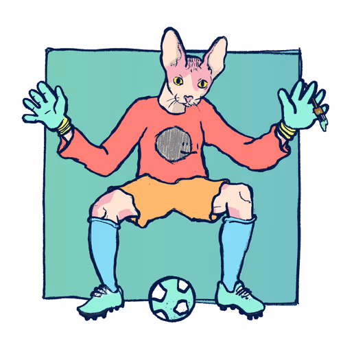 Footballcritter