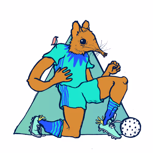 Footballcritter