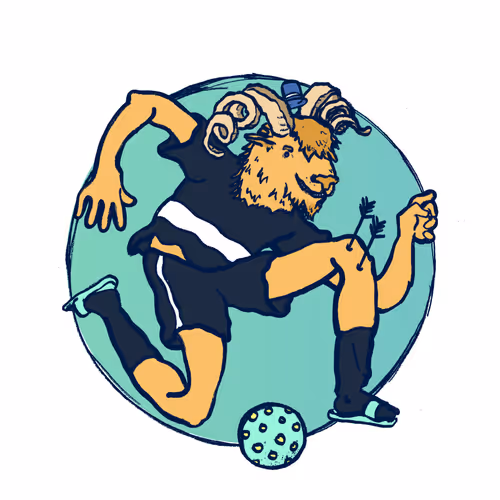 Footballcritter