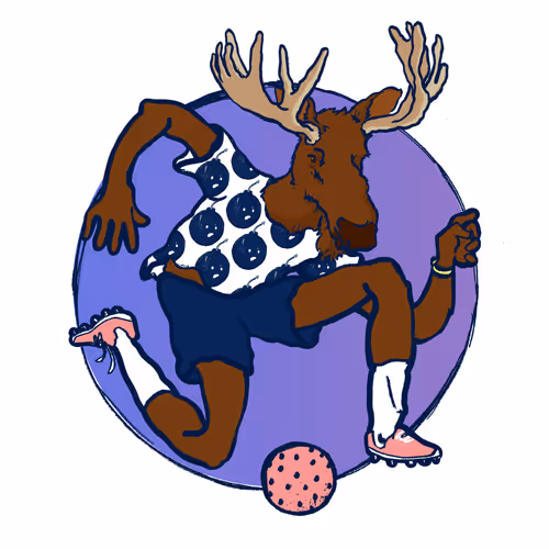 Footballcritter