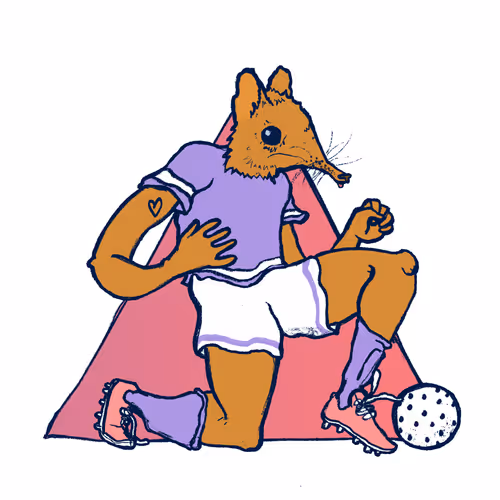 Footballcritter