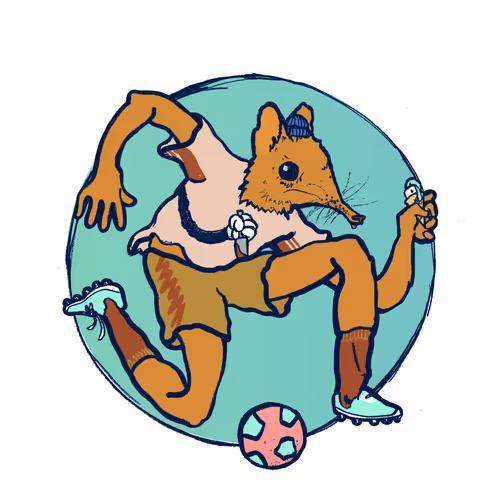 Footballcritter