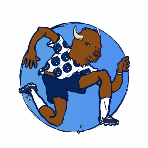 Footballcritter