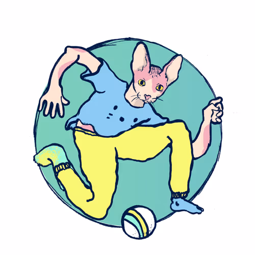 Footballcritter