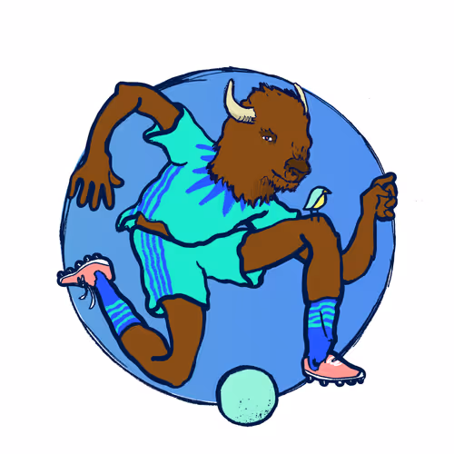 Footballcritter