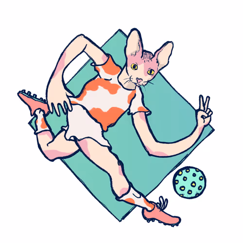 Footballcritter