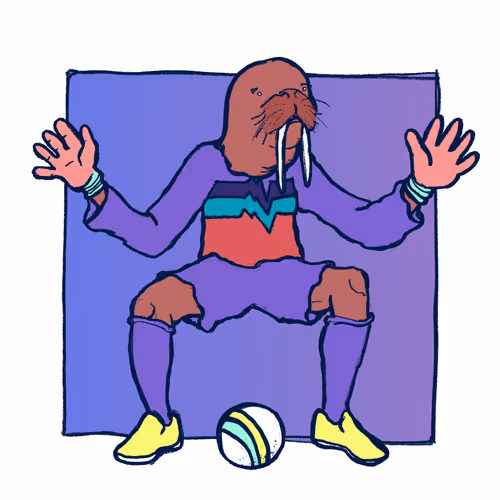 Footballcritter
