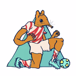 Footballcritter #2524