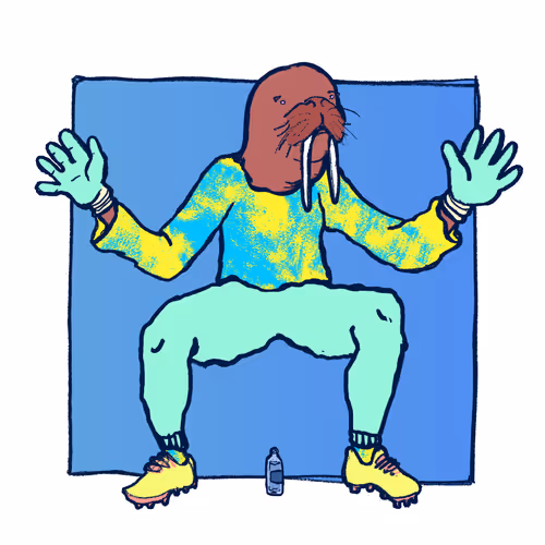 Footballcritter