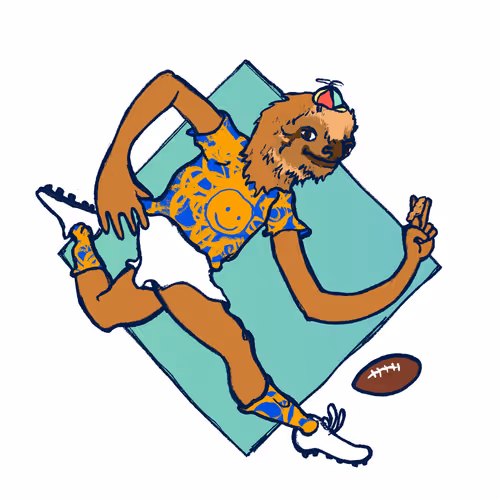 Footballcritter